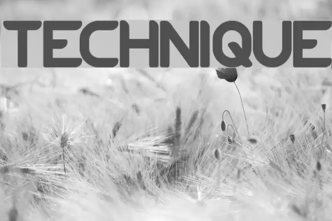 TECHNIQUE フォント examples