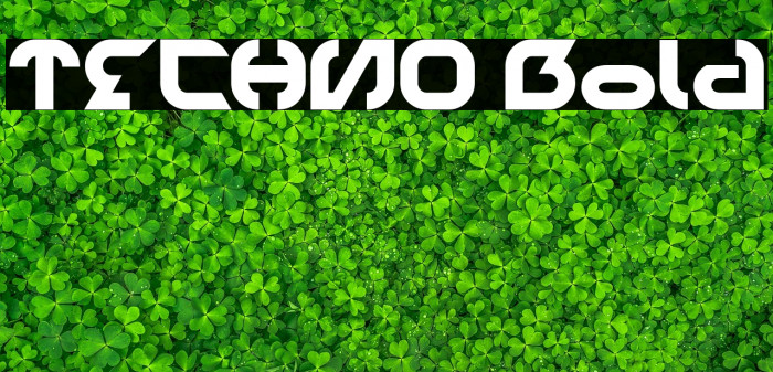 TECHNO Bold Example 1