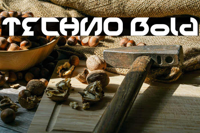 TECHNO Bold Example 2