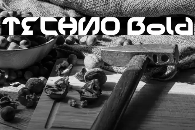 TECHNO Bold Font examples