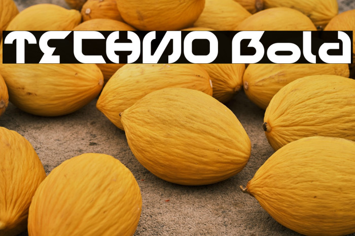 TECHNO Bold Example 3