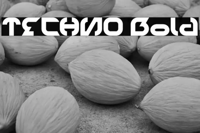 TECHNO Bold Font examples