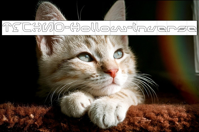 TECHNO-Hollow-Inverse Example 3