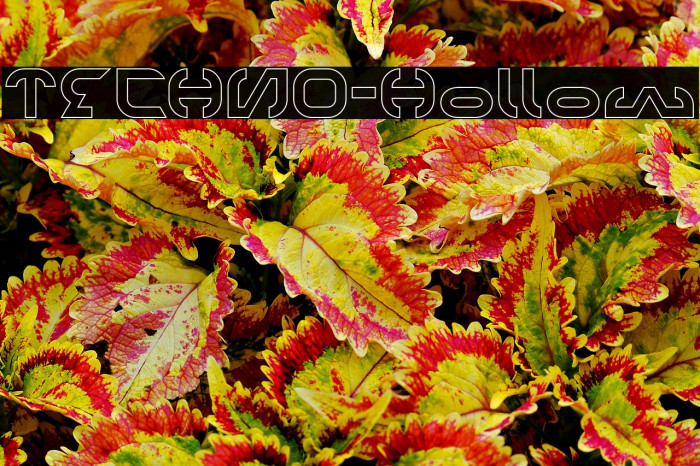 TECHNO-Hollow Example 1