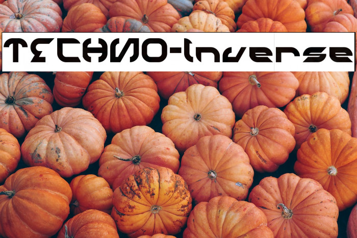 TECHNO-Inverse Example 3