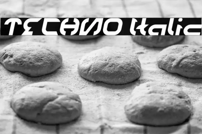 TECHNO Italic Font examples