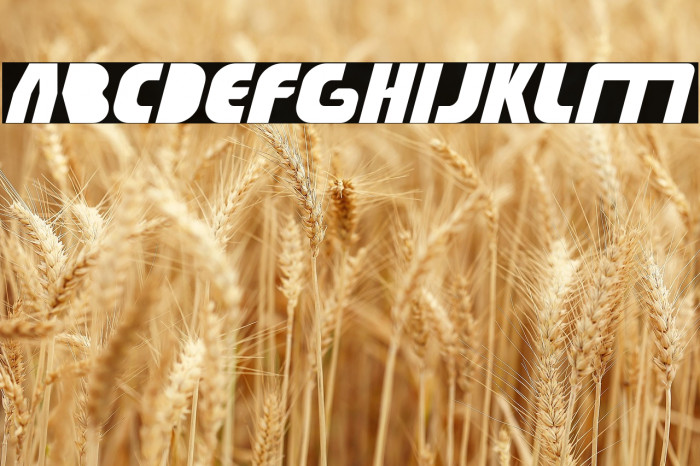 TECHNO TECH Bold Example 3