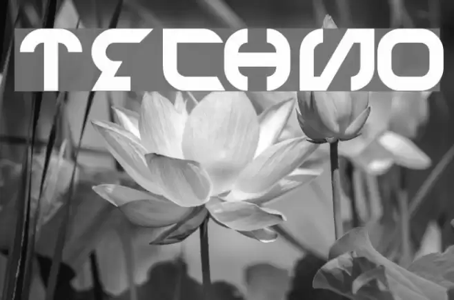 TECHNO Font examples