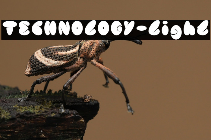 TECHNOLOGY-Light Example 1