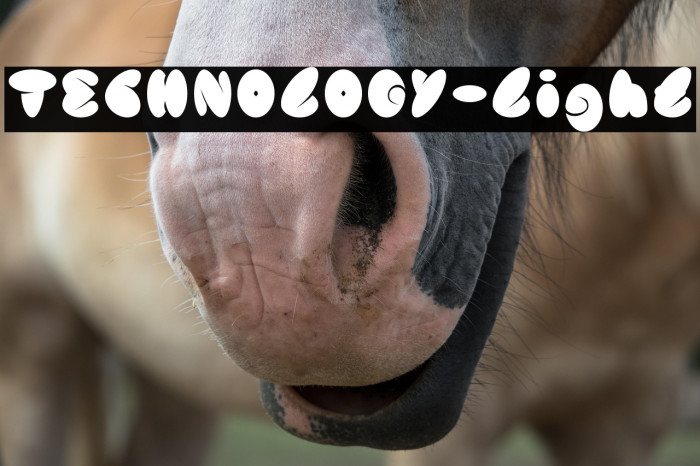 TECHNOLOGY-Light Example 2