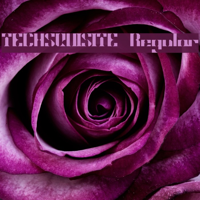 TECHSQUISITE Regular Example 2