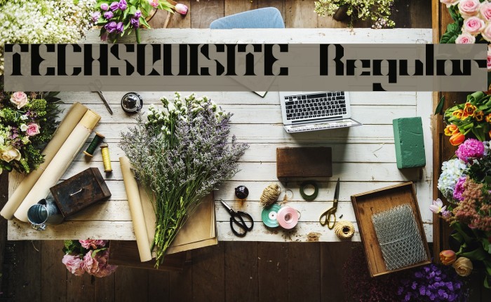 TECHSQUISITE Regular Example 3