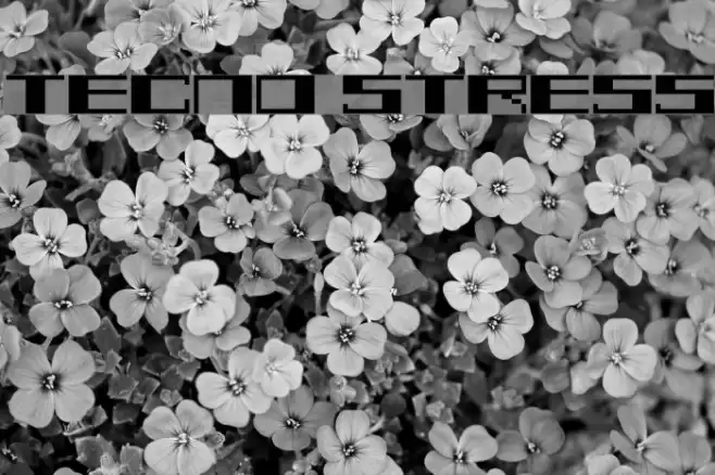 TECNO STRESS Font examples