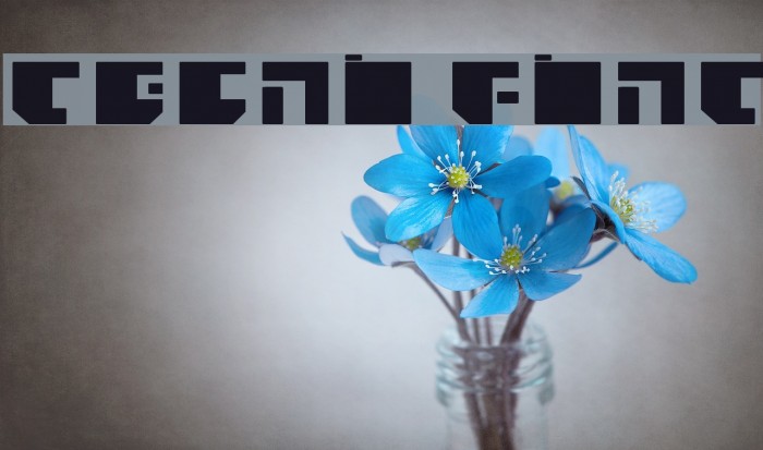 TECNO Font examples