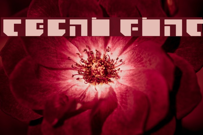 TECNO Font examples