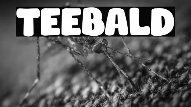 TEEBALD Font examples