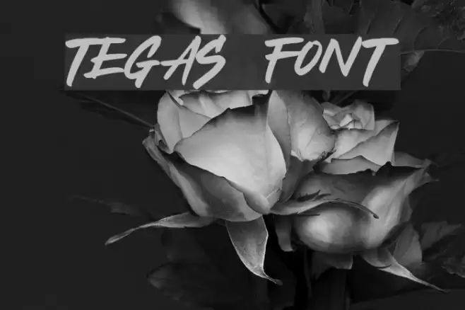 TEGAS Font examples