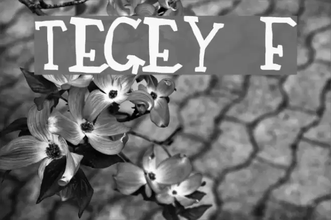 TEGEY Font examples