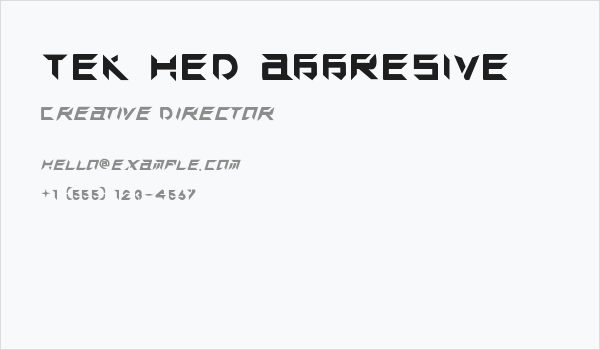 TEK HED AGGRESIVE Business Card