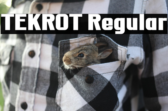 TEKROT Regular Example 2