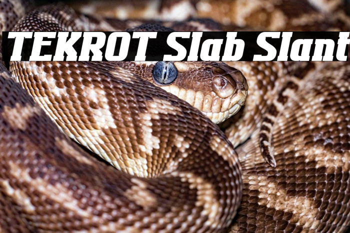 TEKROT Slab Slant Example 1