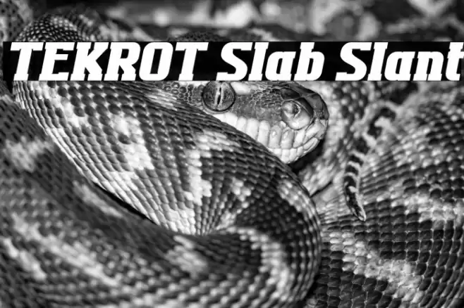 TEKROT Slab Slant Caratteri examples