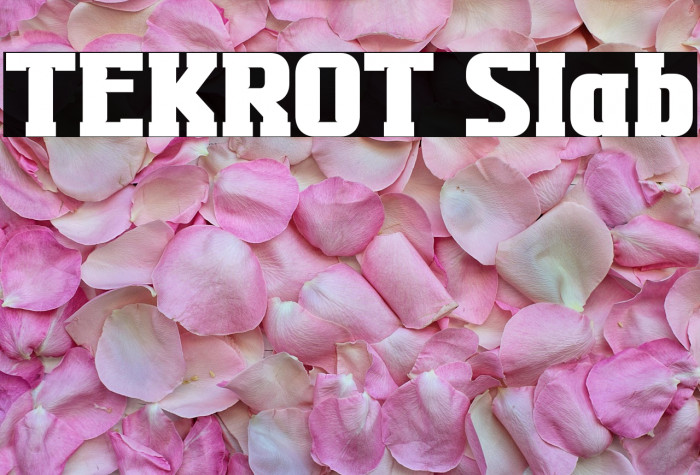 TEKROT Slab Example 1