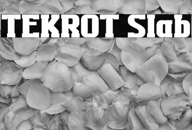 TEKROT Slab フォント examples