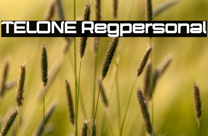 TELONE Regpersonal Example 3