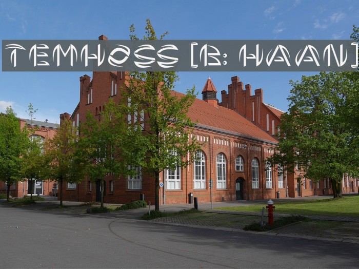 TEMHOSS [By: HAsAN] Example 2