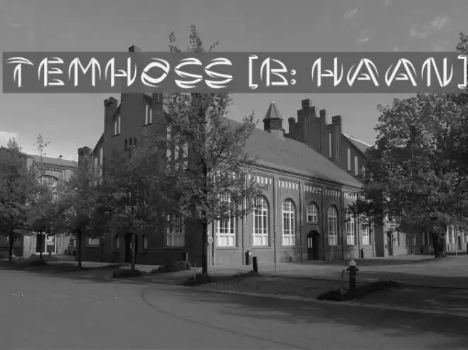 TEMHOSS [By: HAsAN] Font examples