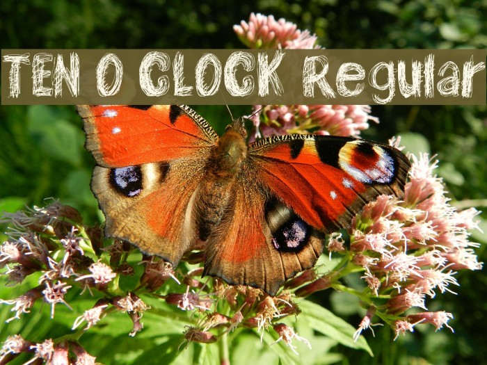 TEN O CLOCK Regular Schriftart examples