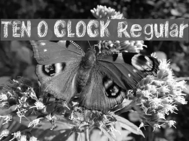 TEN O CLOCK Regular Schriftart examples