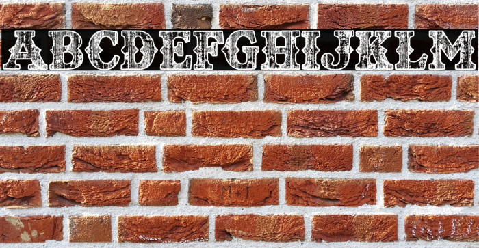 TEXASWOOD PERSONAL USE Bold Example 1