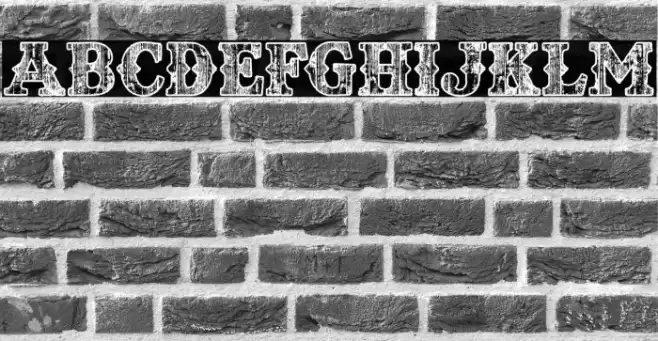 TEXASWOOD PERSONAL USE Bold Font examples