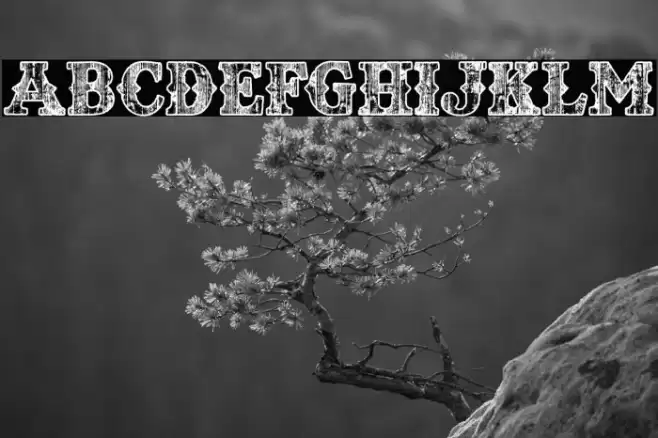 TEXASWOOD PERSONAL USE Bold Font examples