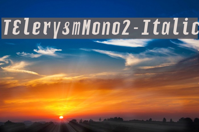 TElerysmMono2-Italic Font examples