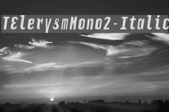 TElerysmMono2-Italic Font examples