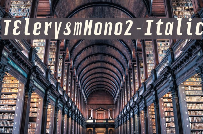 TElerysmMono2-Italic Font examples