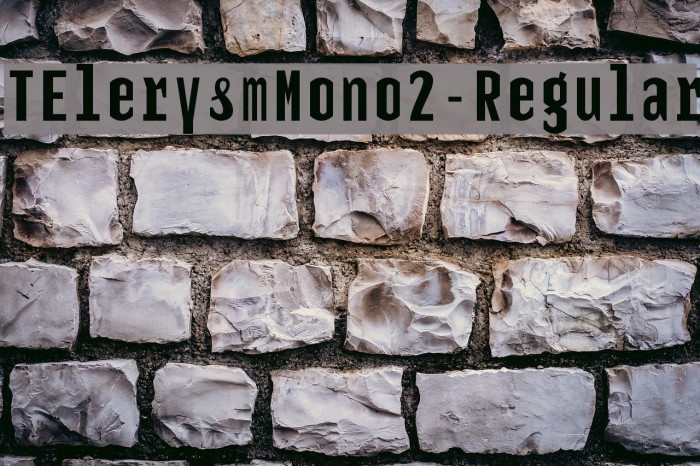 TElerysmMono2-Regular Font examples