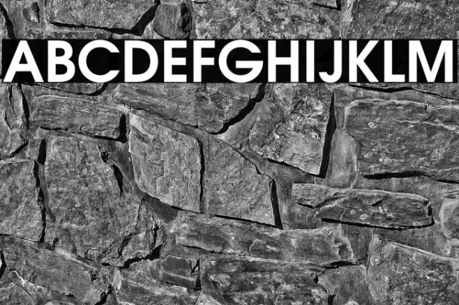 TeXGyreAdventor-Bold Font examples