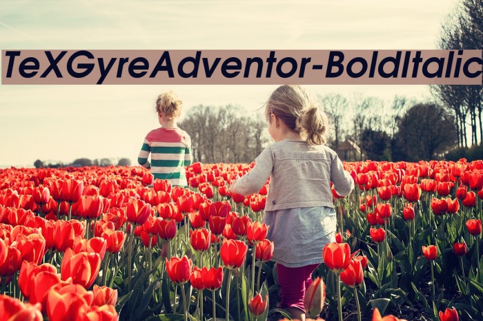 TeXGyreAdventor-BoldItalic Font examples