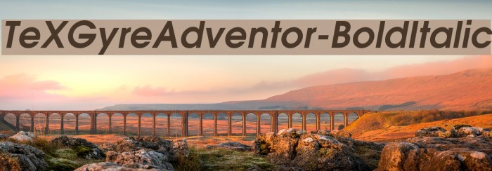 TeXGyreAdventor-BoldItalic Font examples