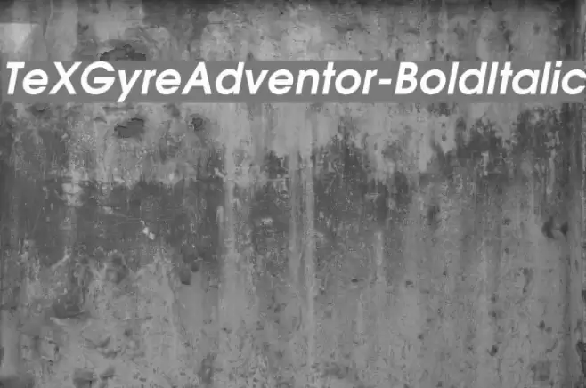 TeXGyreAdventor-BoldItalic Font examples