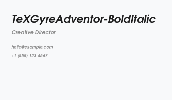 TeXGyreAdventor-BoldItalic Business Card