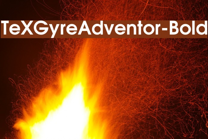 TeXGyreAdventor-Bold Font examples