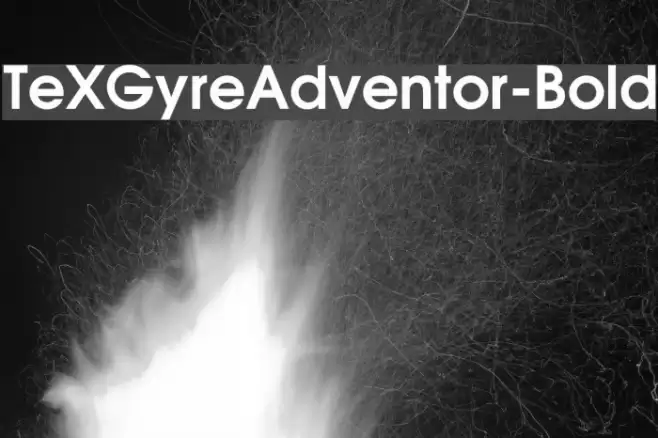 TeXGyreAdventor-Bold Font examples