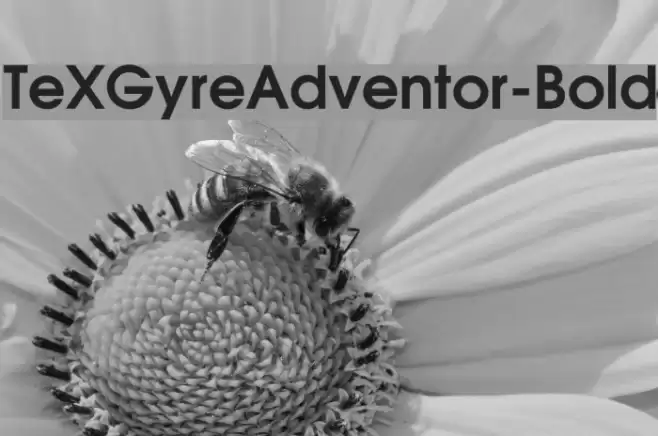 TeXGyreAdventor-Bold Font examples