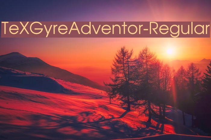 TeXGyreAdventor-Regular Font examples