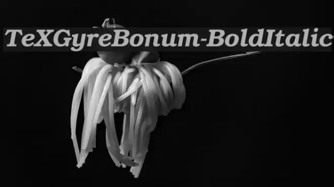 TeXGyreBonum-BoldItalic Font examples